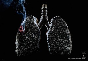 Clever-and-Creative-Antismoking-ads-adesf-lungs